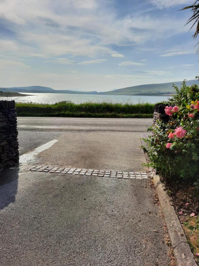 Green Garden meets Blue sea for 2 people Dingle Buitenkant foto